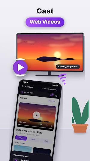 Screen Mirroring for Roku Screenshot 1