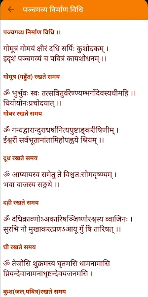 Guru Parampara (सम्पूर्ण पूजा,पाठ,कथा एवं शिक्षा) Screenshot 0