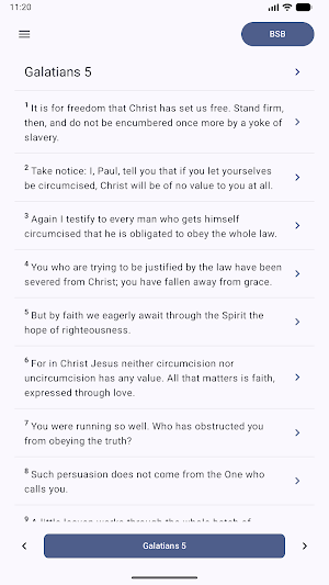 Bible Insight Screenshot 0