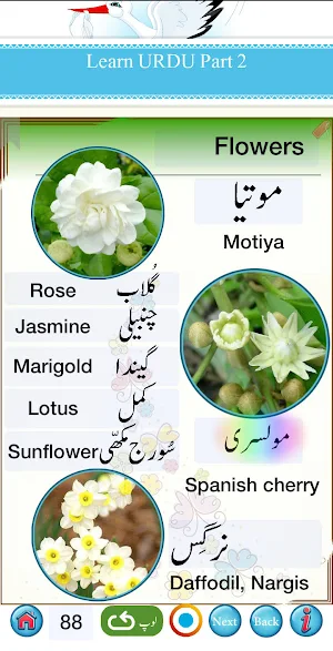 Urdu Qaida Part 2 Screenshot 2