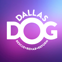 Dallas Dog