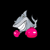 Gray Shark Studio