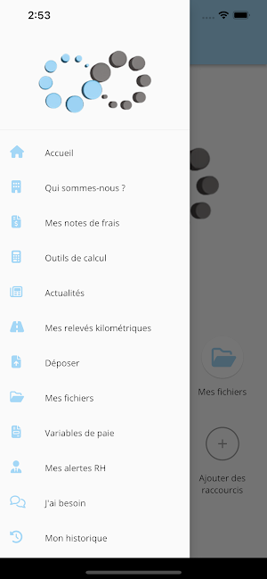 RAIVEL COMPTA Screenshot 3