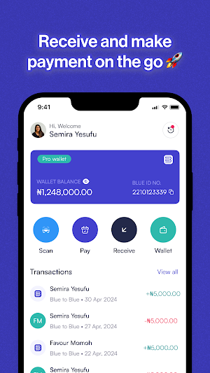 PayMeBlue Screenshot 0
