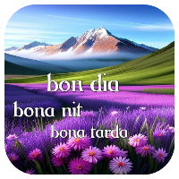 bon dia bona nit bona tarda