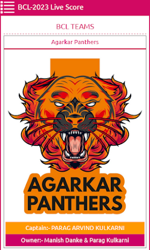 Brahmin Cricket League Screenshot 2