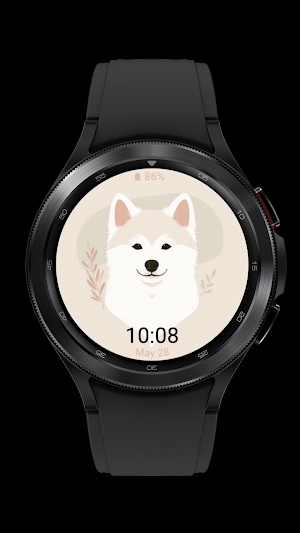 jindo cute_dog_003 Screenshot 3