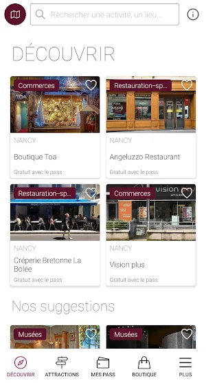 Nancy City Pass Screenshot 3
