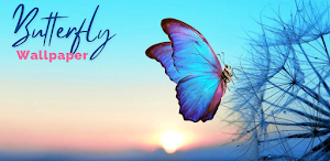 Butterfly Wallpapers HD Screenshot 0