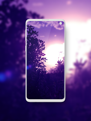 Purple Violet Wallpaper Screenshot 3