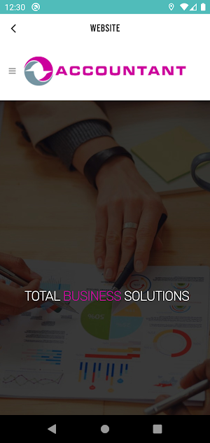 The Business Accountant Screenshot 3