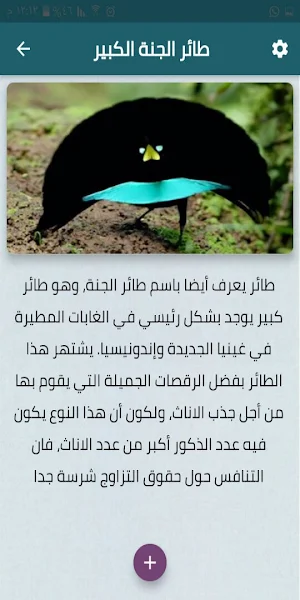 أغرب الطيور في العالم Screenshot 0