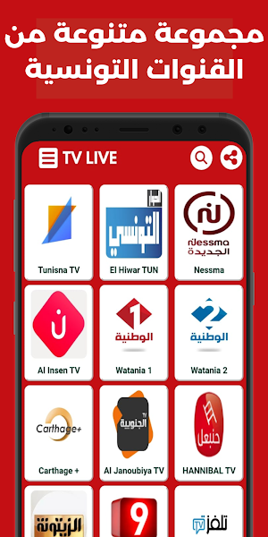 Tunisia TV Live - مباشر Screenshot 3