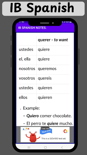 IB Spanish HL SL DP notes Screenshot 3