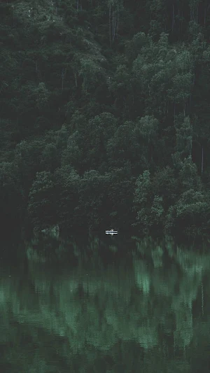 Relaxing Music Screenshot 0
