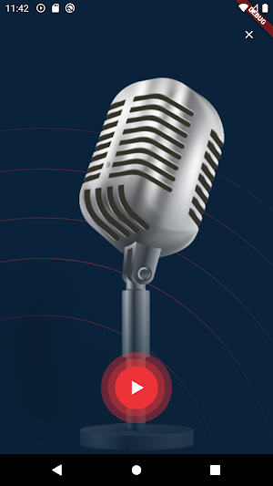 Radio Mitrovica Sever Screenshot 3