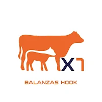 X1