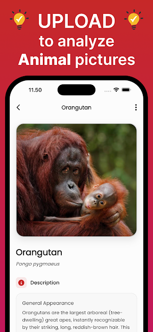 Animal Pic: AI Identifier Screenshot 1
