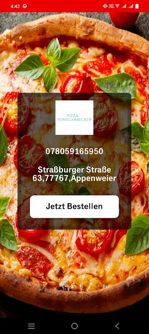 Pizza Feinschmecker Appenweier Screenshot 0