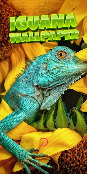 iguana wallpaper Screenshot 0
