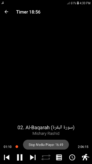 Mishary Rashid Alafasy Quran Screenshot 3