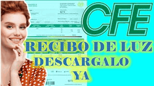 Consulta Recibo Luz Guia CFE Screenshot 2