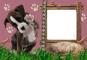Cat And Dog Photo Frames Screenshot 2