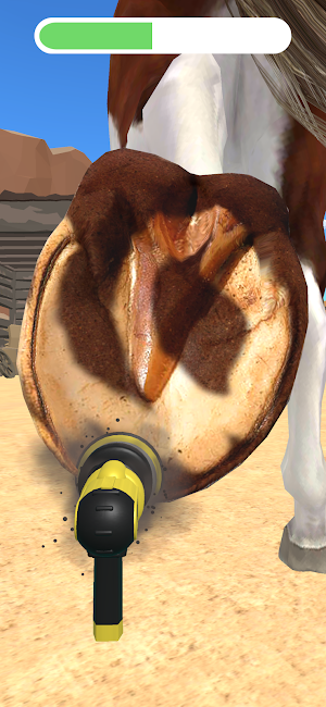 Horse Cleaning 3D Screenshot 1
