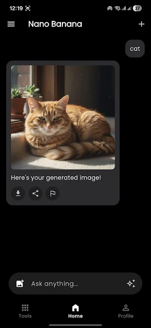 AI Nano Banana Screenshot 2