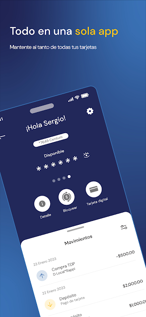 Centum Capital Screenshot 2