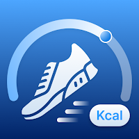 Pedometer Step Counter Daily