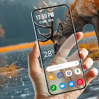 Camera Wallpaper Transparent