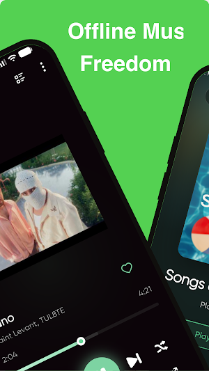 RiMusic Screenshot 2