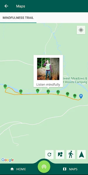Fingle Woods Screenshot 3