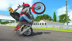 Elite MX Grau Motorbikes Screenshot 3