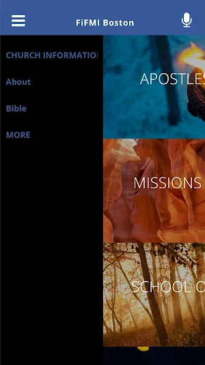 FiFMI Boston Screenshot 3