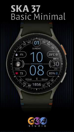 SKA 37 Basic minimal Screenshot 0