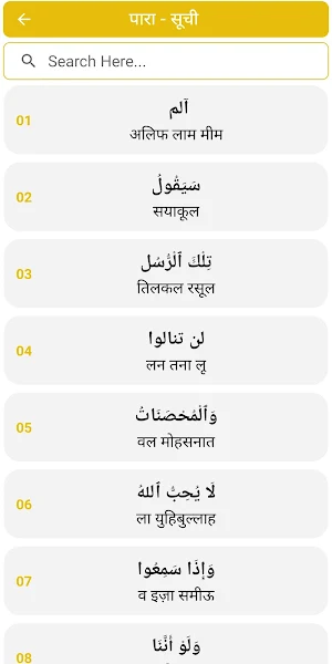 Quran Sharif in Hindi Screenshot 3