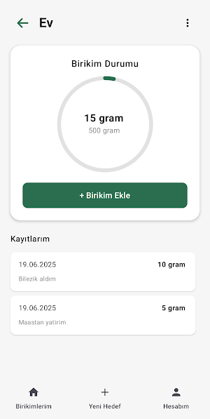 Biriktir Screenshot 2