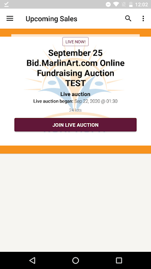 Marlin Auctions Screenshot 0