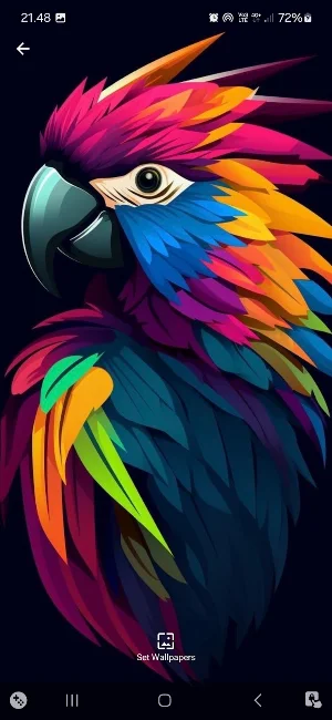 Parrot 2 Rainbow Wallpaper Screenshot 2