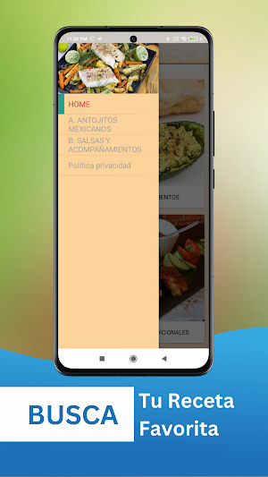Recetas Mexicanas Fáciles Screenshot 3
