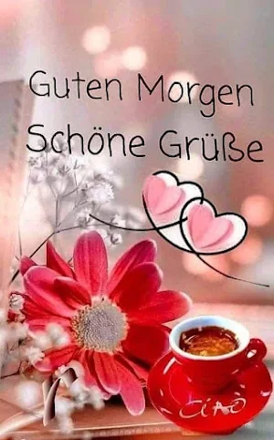 Schönen Abend Morgen Danke Screenshot 3