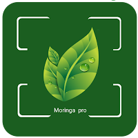 Moringa Pro