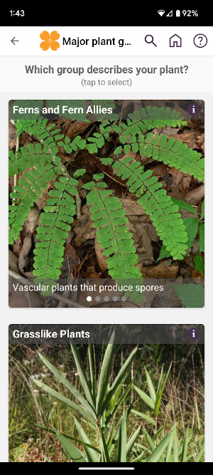 FloraQuest: Northern Tier Screenshot 1