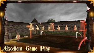 Archery 3D Pro Screenshot 3