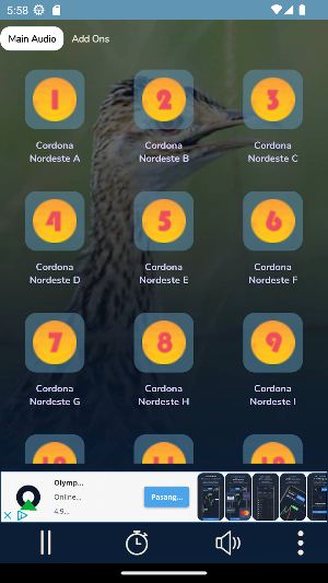 Codorna Do Nordeste - 24 Hora Screenshot 1