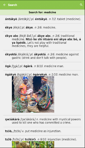 Engwo Dictionary Screenshot 3