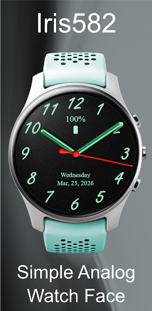 Iris582 Simple Analog Watch Screenshot 2