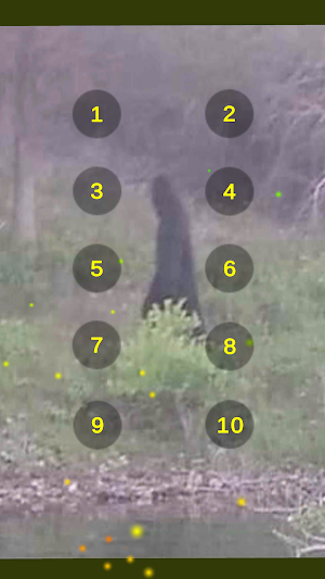 Bigfoot Sound Recordings Screenshot 2